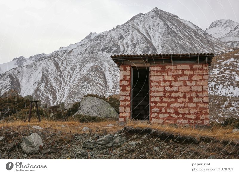 Bis zu den Hügeln Natur Landschaft Schnee Gras Sträucher Alpen Berge u. Gebirge Tien Shan Wege & Pfade entdecken sitzen Fernweh Abenteuer Beginn Haus Kasachstan