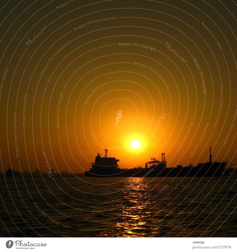 Schiffe versenken Meer Sommer Dämmerung Sonnenuntergang spät Wasserfahrzeug Beleuchtung Verlauf Silhouette Gegenlicht Horizont Ferne gelb Hafen Abend