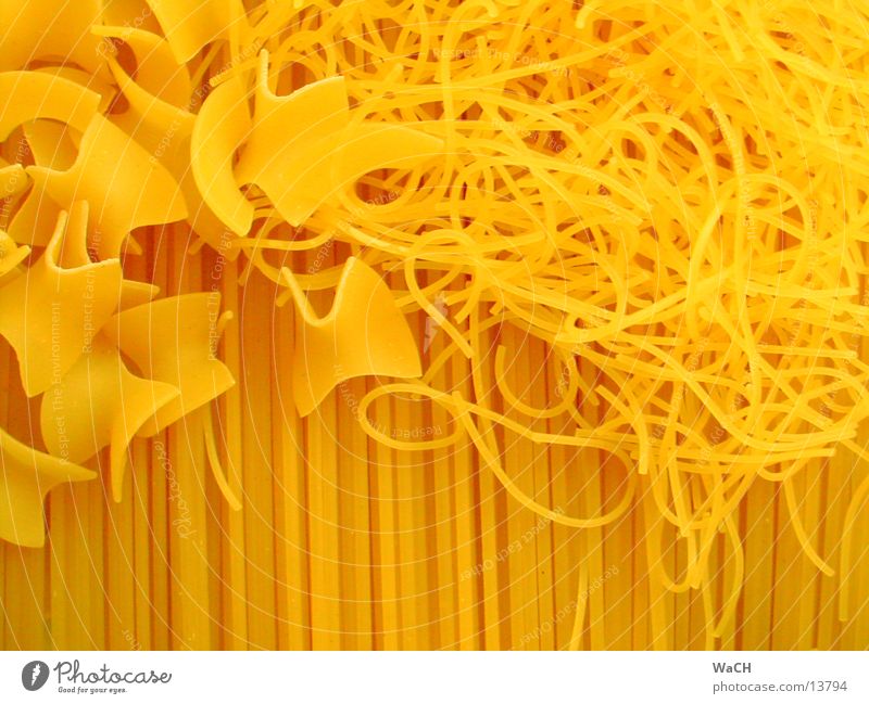 Pasta 2 Ernährung Nudeln Spaghetti kochen & garen Fravalle Farbfoto Studioaufnahme Nahaufnahme Detailaufnahme Makroaufnahme