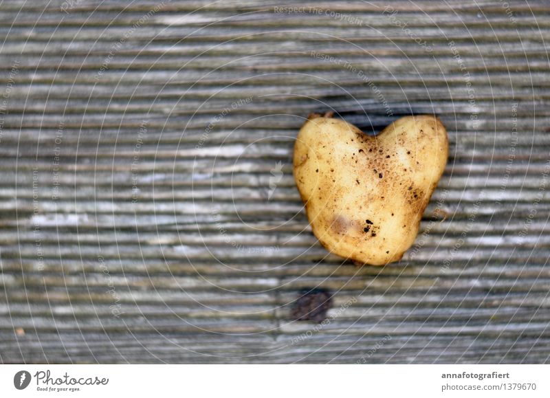 Kartoffel mit Herz Natur Holz Liebe authentisch Kitsch braun Freundschaft Zusammensein Zusammenhalt Kartoffeln Farbfoto Nahaufnahme Tag Kontrast