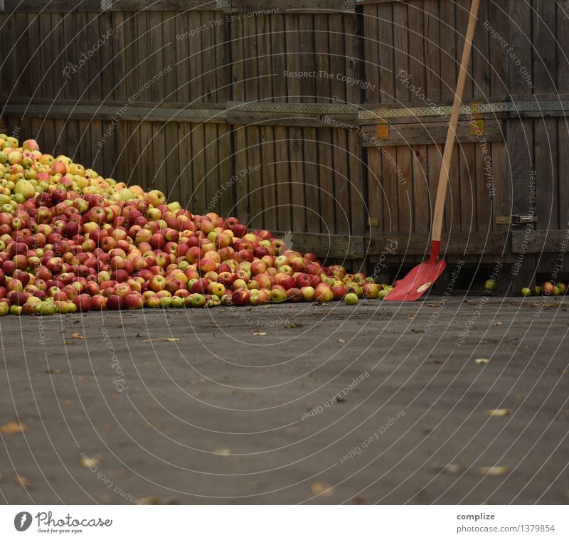 Mosten Lebensmittel Ernährung Bioprodukte Vegetarische Ernährung Alkohol most Herbst genießen rein Qualität mosten mosterei Apfel Menschenmenge viele