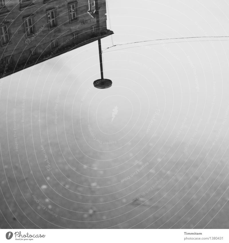 Irgendwie...irgendwo... Wasser Karlsruhe Haus Gebäude Laterne grau schwarz Draht Schwarzweißfoto Außenaufnahme Menschenleer Textfreiraum unten Tag
