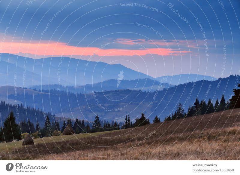 das Land der blauen Hügel Landschaft Erde Luft Himmel Wolken Herbst Schönes Wetter Baum Berge u. Gebirge Karpaten Dorf Zufriedenheit Ende entdecken Erholung