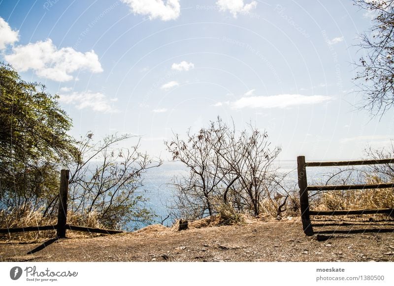 Ausblick aufs Meer Umwelt Landschaft Erde Himmel Wolken Sommer Schönes Wetter Baum Sträucher blau braun Zaun Guadeloupe Aussicht Farbfoto Gedeckte Farben