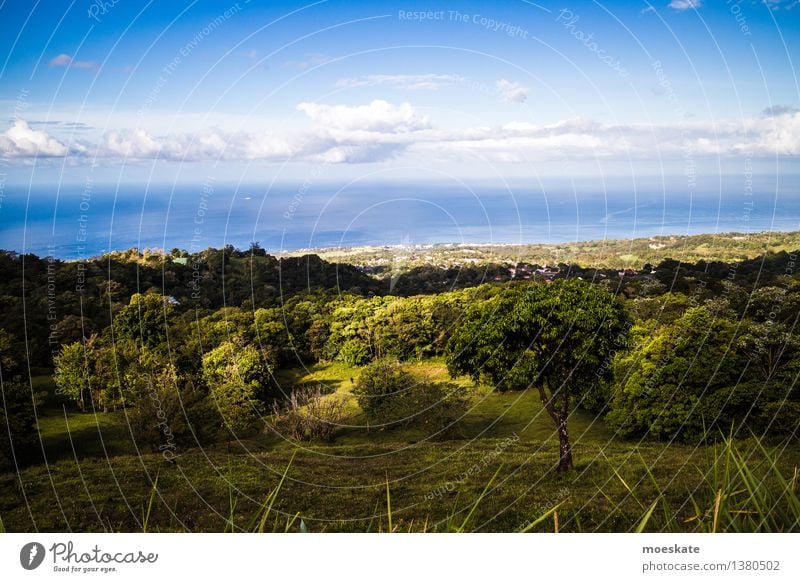 Guadeloupe Aussicht Umwelt Natur Landschaft Pflanze Urelemente Wasser Erde Himmel Wolken Horizont Sommer Schönes Wetter Baum blau grün Karibik Farbfoto