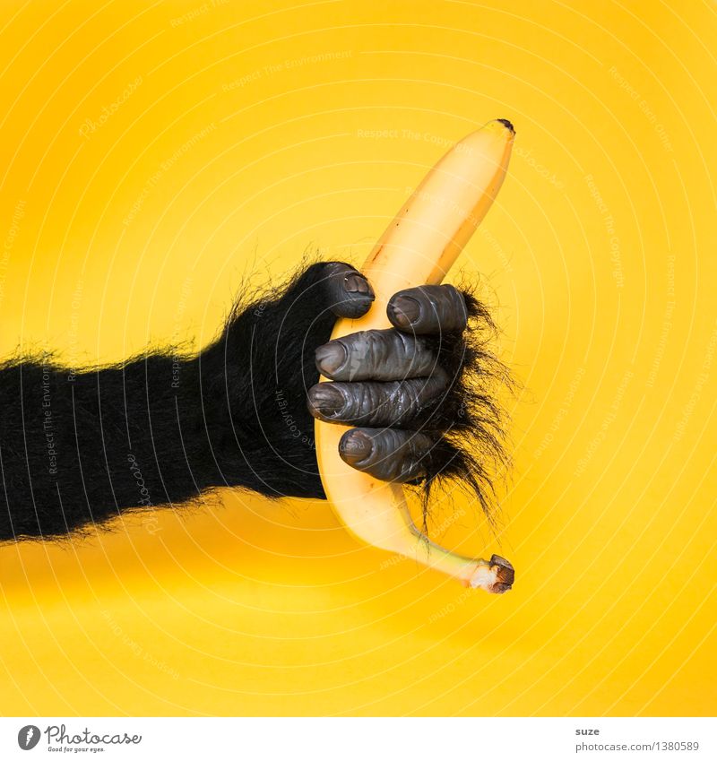Eine Banane für Ezra Lebensmittel Frucht Lifestyle Stil Design Karneval Werbebranche Hand Kunst Zeichen festhalten Kommunizieren Coolness exotisch lustig wild