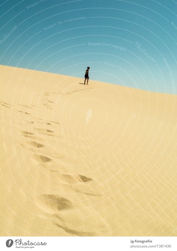 langer Weg - Fußabdrücke auf Sanddüne in der Wüste Sommer Karriere PKW Fußspur fahren heiß Gefühle Begeisterung Erfolg Kraft Willensstärke Tatkraft Abenteuer