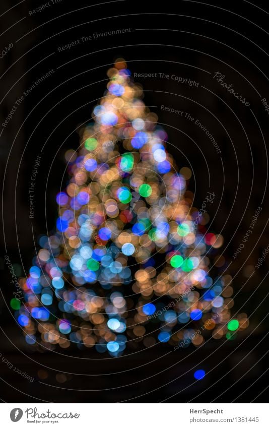Lichterscheinung Weihnachten & Advent Winter Baum glänzend schön mehrfarbig Güte Hoffnung Glaube Christentum Ritual Weihnachtsbaum Weihnachtsdekoration