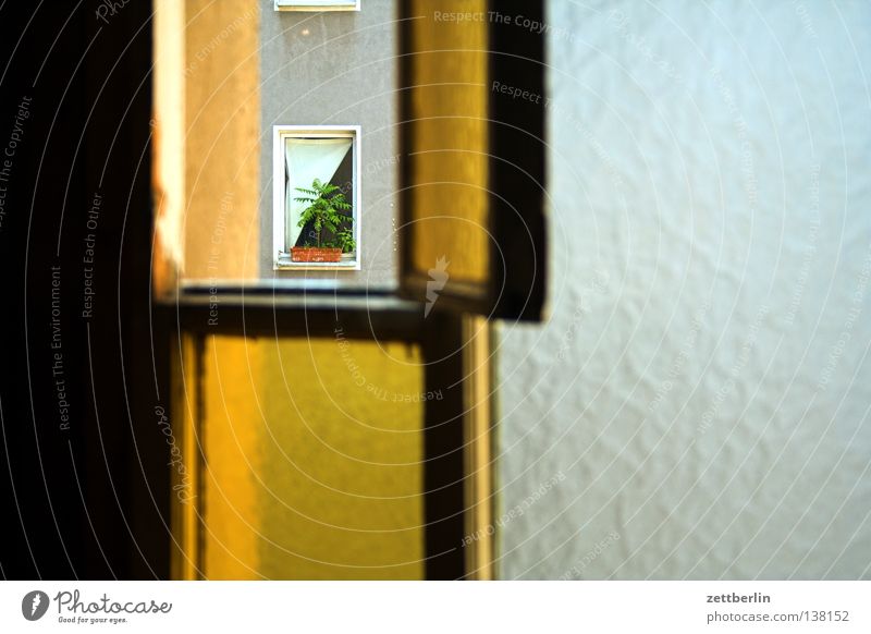 Fenster Riffelglas durchsichtig Haus Stadthaus Hinterhof Flur Treppenhaus Gardine Zimmerpflanze Luft lüften Glas Fensterscheibe Plattenbau seitenflügel Rahmen