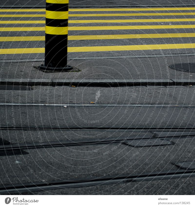 MONOTONIE gelb Streifen Zebra Bordsteinkante Richtung Straßenverkehrsordnung Stadt abbiegen Fahrradweg leer Straßenkreuzung Fahrbahnmarkierung grau Asphalt
