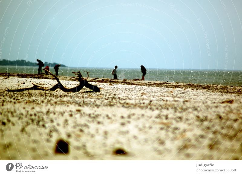Strand Meer Küste Ferien & Urlaub & Reisen Mensch Suche Spaziergang wandern genießen Muschel Weststrand Umwelt Farbe Sommer Sand Ostsee laufen Wasser Stein