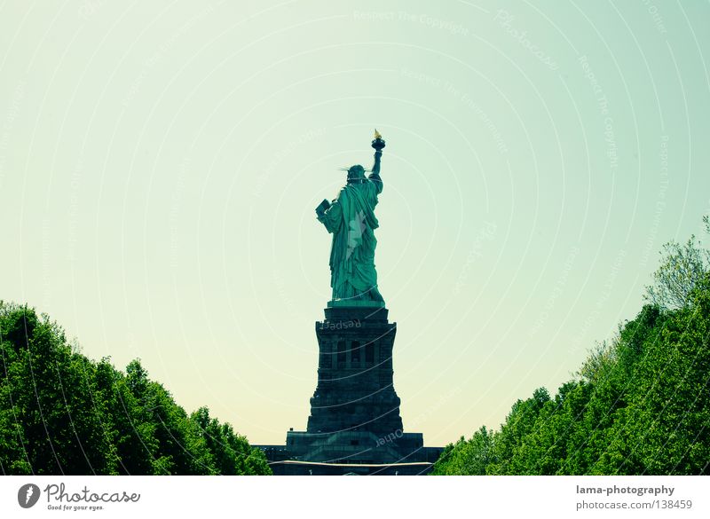 Ein schöner Rücken... New York City Manhattan Amerika USA Kunst Wahrzeichen Statue Dame Symbole & Metaphern Freiheit Frankreich hoch Patina historisch Denkmal