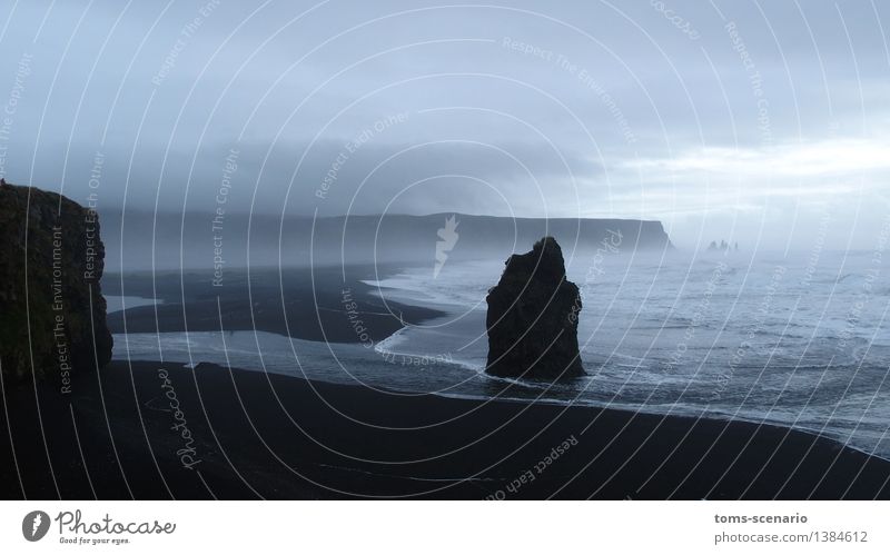 Dunkle Begegnung Natur Landschaft Sand Wasser Wetter Nebel Wellen Küste Bucht Meer Nordatlantik Insel Island dunkel Bewegung Einsamkeit Horizont