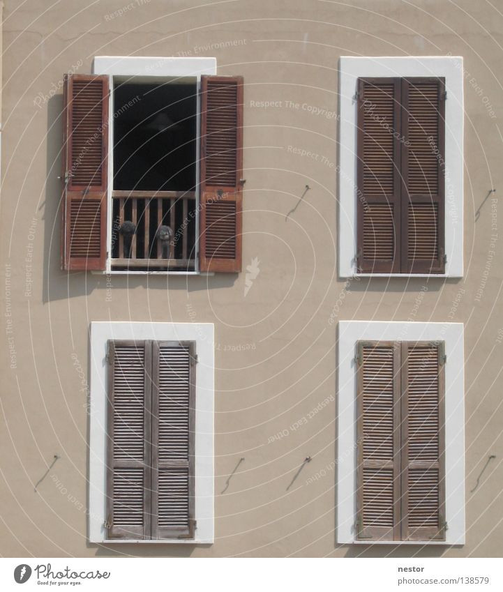 Hundspanorama Sardinien Fenster Haus Fassade Sommer Detailaufnahme Fotografik Architektur