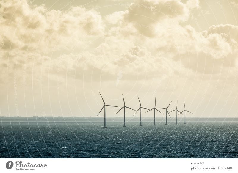 Windräder Sonne Energiewirtschaft Erneuerbare Energie Windkraftanlage Natur Landschaft Wolken Klima Küste Ostsee Meer Himmel Farbfoto Gedeckte Farben
