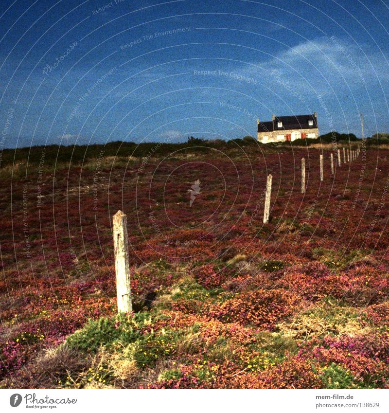 maison de vacances Ferienhaus Frankreich Bretagne Heide Zaun Küste Abendsonne grobkörnig violett Bodendecker Einsamkeit abgelegen Traumhaus