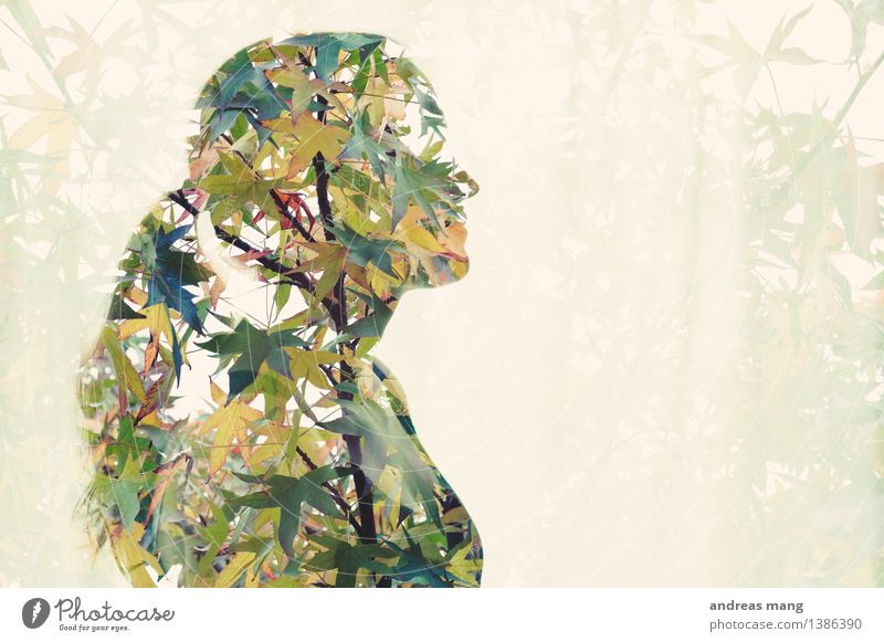 #309 feminin Junge Frau Jugendliche Herbst Baum Blatt langhaarig Zopf Blick stehen träumen ästhetisch frei schön einzigartig Originalität grün Ehrlichkeit