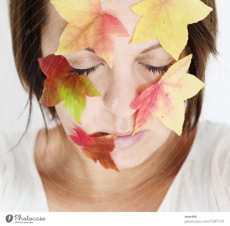 Herbstgesicht Mensch feminin Junge Frau Jugendliche Erwachsene Kopf 1 30-45 Jahre Umwelt Natur Pflanze Blatt Gefühle Stimmung mehrfarbig herbstlich Auge Ahorn