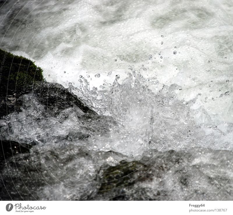 Erfrischung Wildwasser Bach Wildbach schwarz weiß kalt Luftblase Schaum Sommer Fluss Schifffahrt Wasser Berge u. Gebirge blasen Felsen Stein