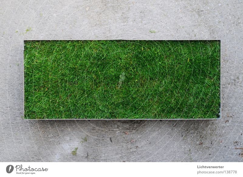 das kleine gruene Beton grün Wiese Grünfläche Rechteck Lunge Rest Verkehrswege Rasen