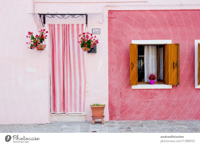 Italien Dorf Fischerdorf Kleinstadt Altstadt Haus Gebäude Architektur Fassade Fenster Tür ästhetisch rosa Fensterladen Topfpflanze gestreift Vorhang Gardine