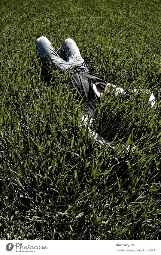 chillout III Mann Kerl Gras Feld Sommer Erholung Hose Hemd dunkel grün schlafen Sonnenbad Luft frisch unberührt Langeweile Jeanshose hell face skin Haut Natur