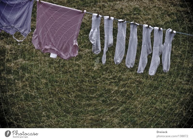 Antibakteriell Wäsche Bekleidung Strümpfe T-Shirt weiß Sauberkeit rein gewaschen Wäscheklammern Wäscheleine Waschmaschine Wäschetrockner Lufttrocknung