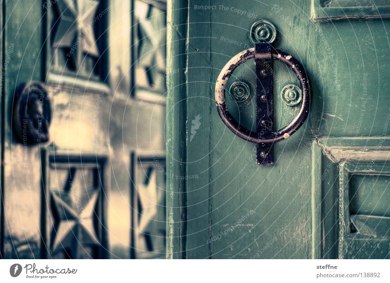 TOR! Tor Haus Eingang Durchgang Türklopfer England grün Detailaufnahme Häusliches Leben door Birghton hereinwennskeinschneiderist