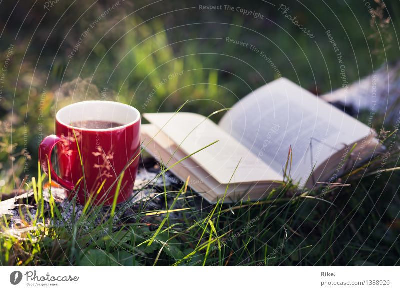 Zeit ist Glück. Getränk Heißgetränk Kaffee Tee Tasse Freizeit & Hobby lesen Natur Sommer Herbst Schönes Wetter Baum Wald Erholung Romantik ruhig Zufriedenheit