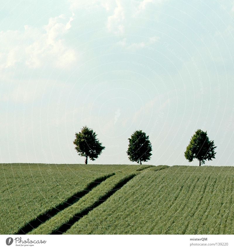 Die Drei neben der Tankstelle. Pflanze Natur Landschaft Baum Landschaftsformen Wolken Feld Deutschland Baumstamm Allee Baumkrone Wetterschutz Wasserrinne
