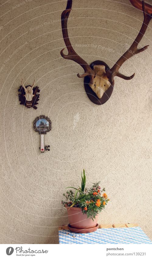 Geweihe und ein kitschiges außenthermometer sowie einer Pflanze im Blumentopf auf einem Gartentisch mit einer Tischdecke aus Papier bedruckt mit bayerischen Rauten. Spieße, Bayern, jäger