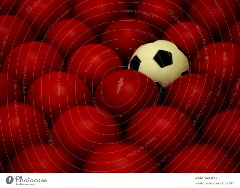 Italien wird Europameister Unschärfe Tiefenschärfe Gemüse Sport Tomate Ball Schwache Tiefenschärfe 1 viele Fußball rund Kugel klein skurril außergewöhnlich