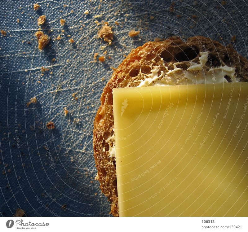 PHOTKÄS' Käse Käsebrot bleich gelb Ernährung Brot Brötchen Frühstück Vollkorn Schneidebrett blau braun Milcherzeugnisse Krümel zerbröckelt Teile u. Stücke