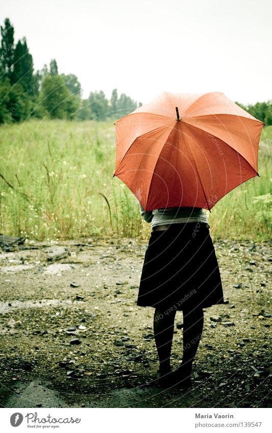 BLN 08 | Ein Hauch von Einsamkeit Regenschirm Unwetter Wolken schlechtes Wetter vergessen verloren Trauer Verzweiflung geduldig stehen Ausdauer Schwäche