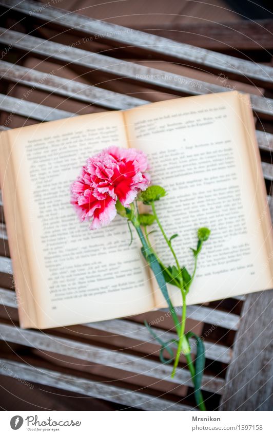 Bücher Medien Printmedien Buch lesen lernen einzigartig Buchseite Erholung Freizeit & Hobby genießen aufschlagen Schriftsteller Denken Nelkengewächse Blume