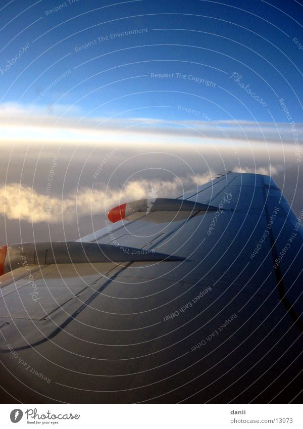 Heimflug Flugzeug Tragfläche Wolken Sonnenuntergang Europa Himmel fliegen Kerosinstreifen