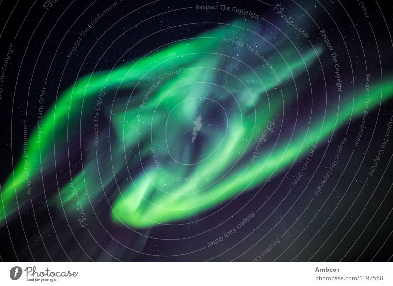 Grönland Nordlichter, in der Nähe von Nuuk Ferien & Urlaub & Reisen Meer Winter Natur Landschaft Himmel nur Himmel Klima glänzend hell natürlich grün Farbe
