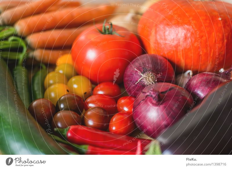 Bunter einkauf Lebensmittel Gemüse Ernährung Bioprodukte Vegetarische Ernährung Diät Italienische Küche frisch Gesundheit gut lecker gelb grün orange rot Tomate