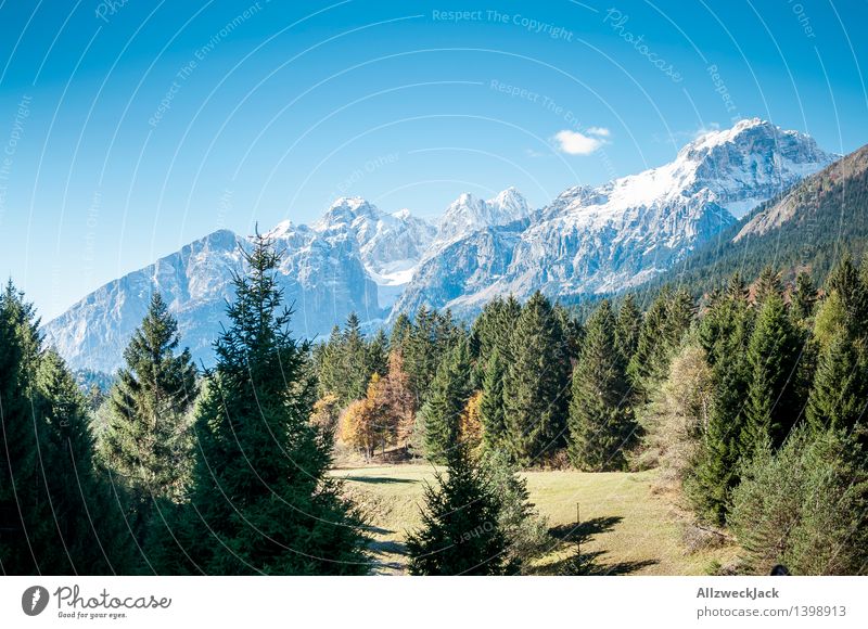 Spormaggiore Trento Italien Natur Landschaft Herbst Baum Wald Alpen Berge u. Gebirge Schneebedeckte Gipfel ästhetisch blau grün Ferne Dolomiten Trentino