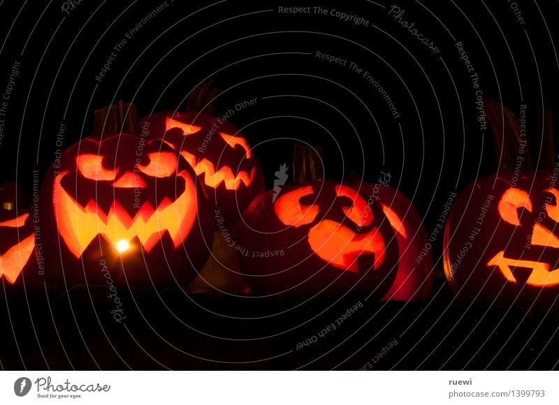 Sechs leuchtende Halloweenkürbisse Lebensmittel Kürbis Häusliches Leben Party Allerheiligen Kunst Skulptur Feuer Herbst bedrohlich dunkel gruselig lustig rund