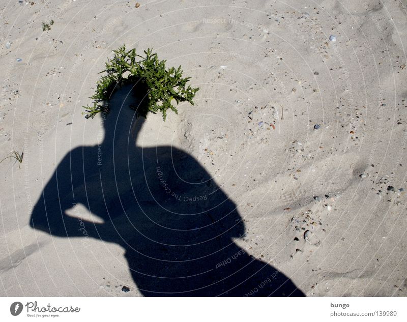 medusa herbaria Schatten Schattenspiel Sand Strand Sandstrand Ferien & Urlaub & Reisen Meer Pflanze Haare & Frisuren Krone Hut Oberkörper Kopf Mann Küste