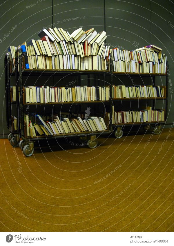 300 | Bücher Buch Bibliothek Wissen Wissenschaften Studium Mobilität sortieren sehr viele Reihe aufgereiht Handwagen Textfreiraum unten Innenaufnahme Lesesaal