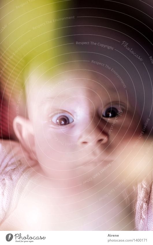 große Augen machen Mensch Baby Kindheit Kopf 1 0-12 Monate liegen Blick Neugier niedlich rosa Lebensfreude Farbfoto Innenaufnahme Textfreiraum oben