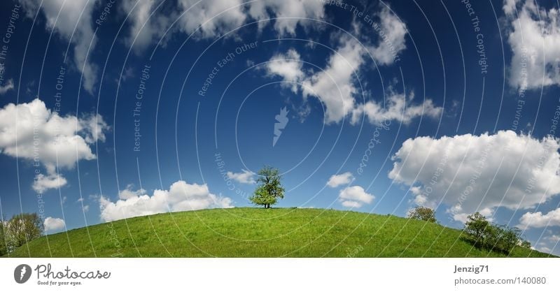 Die Erde ist rund. Himmel Wolken Wiese Gras Baum Natur Globus Sommer Panorama (Aussicht) groß Panorama (Bildformat)
