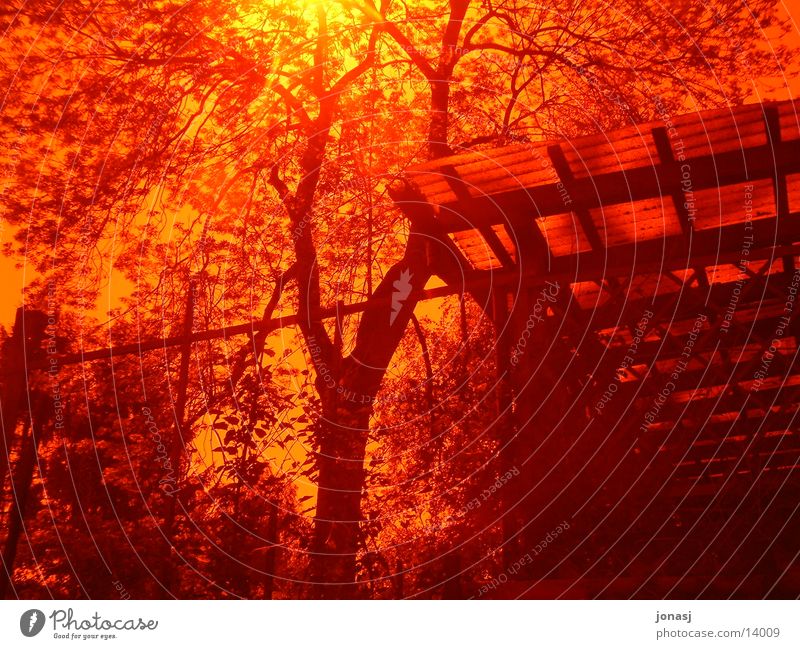 Glühend rot glühend Baum Haus gelb Brand Filter Sonne hell Sonnenuntergang