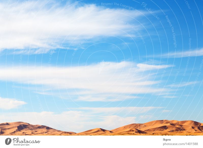 die Sahara-Marokko-Wüste Ferien & Urlaub & Reisen Abenteuer Safari Sonne Natur Landschaft Sand Wärme Dürre heiß gelb rot Einsamkeit Afrika Afrikanisch arabisch