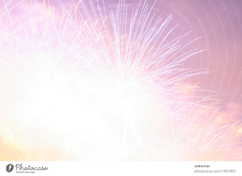 feiern Entertainment Party Veranstaltung Feste & Feiern Silvester u. Neujahr Feuerwerk Explosion Beleuchtung ästhetisch fantastisch hell trendy schön violett