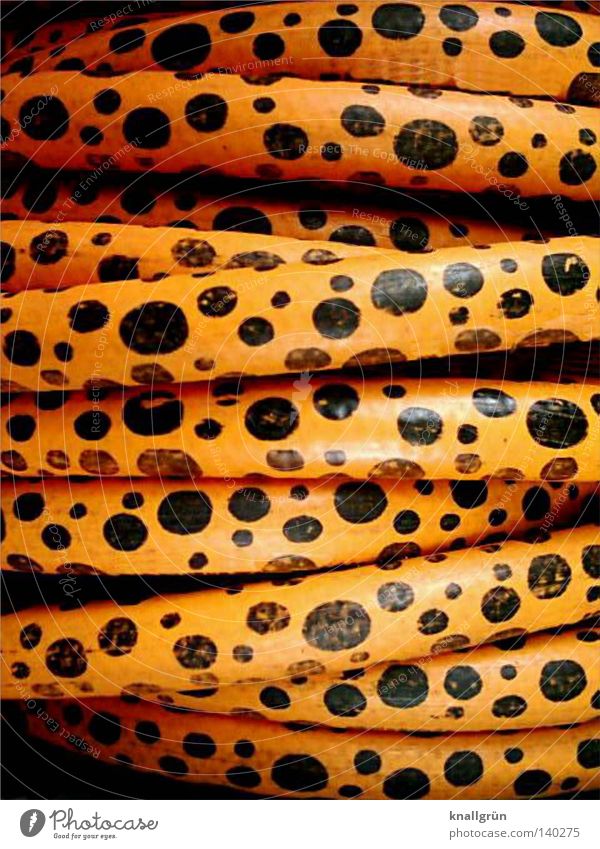 Gepunktet! Schlauch Kunststoff orange schwarz aufeinander rund Gartenschlauch gepunktet getupft gerollt Muster Handwerk obskur Aufgerollt Gekringelt Geschichtet