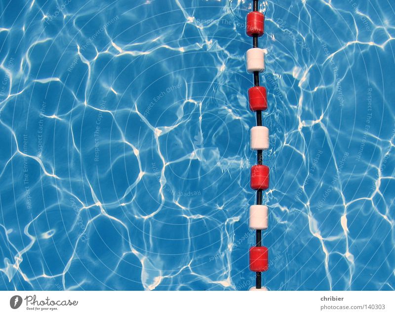 Achtung da unten!!! Farbfoto Außenaufnahme Muster Textfreiraum links Reflexion & Spiegelung Freude Sommer Sonnenbad Meer Wassersport tauchen Schwimmbad springen