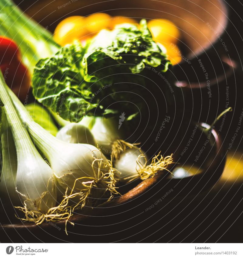 Gesund leben Salat Salatbeilage Ernährung Topf Lifestyle Gesundheit Gesundheitswesen Wohnung Garten Koch Essen braun grün schwarz Idee Identität einzigartig